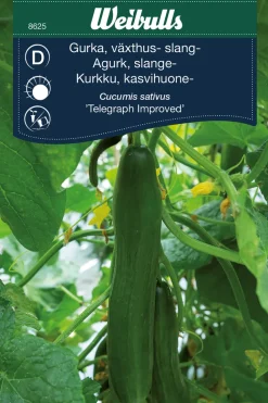 Agurk, 'Telegraph Improved'