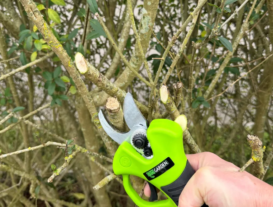 Beskjæringssaks oppladbar 21 V 2,0 Ah – Garden®
