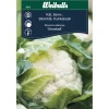 Blomkål 'Snowball'
