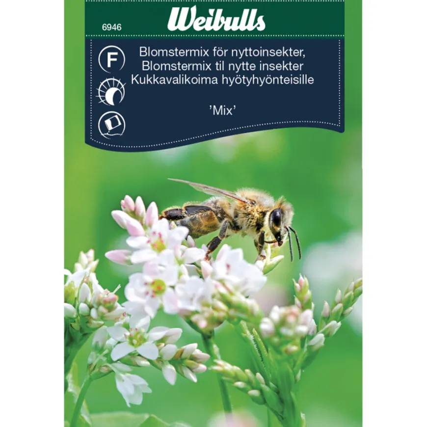 Blomstermix til nytteinsekter