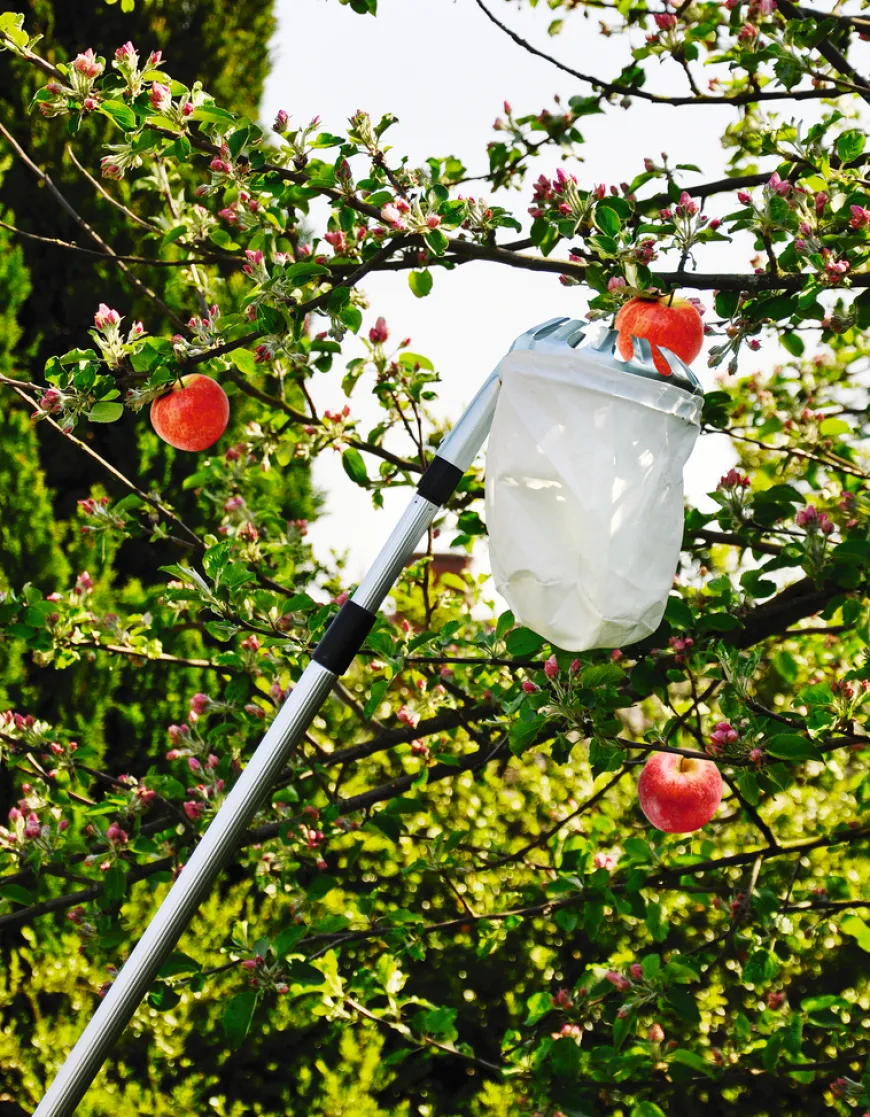 Fruktplukker med beholder - Garden®