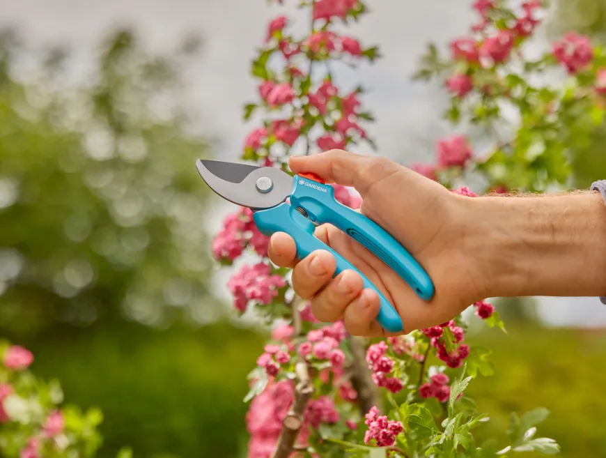 Gardena beskjæringssaks EasyCut