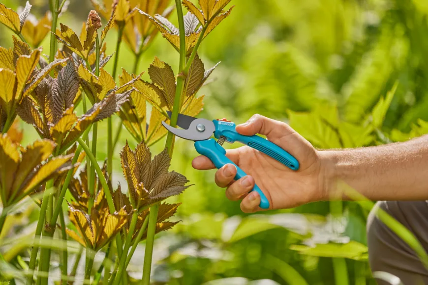 Gardena beskjæringssaks EasyCut
