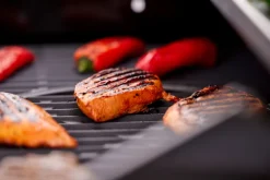 Gassgrill med 4 brennere og bakbrenner – Grillexpert