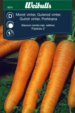Gulrot vinter 'Flakker'