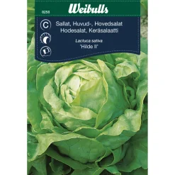 Hodesalat 'Hilde II'
