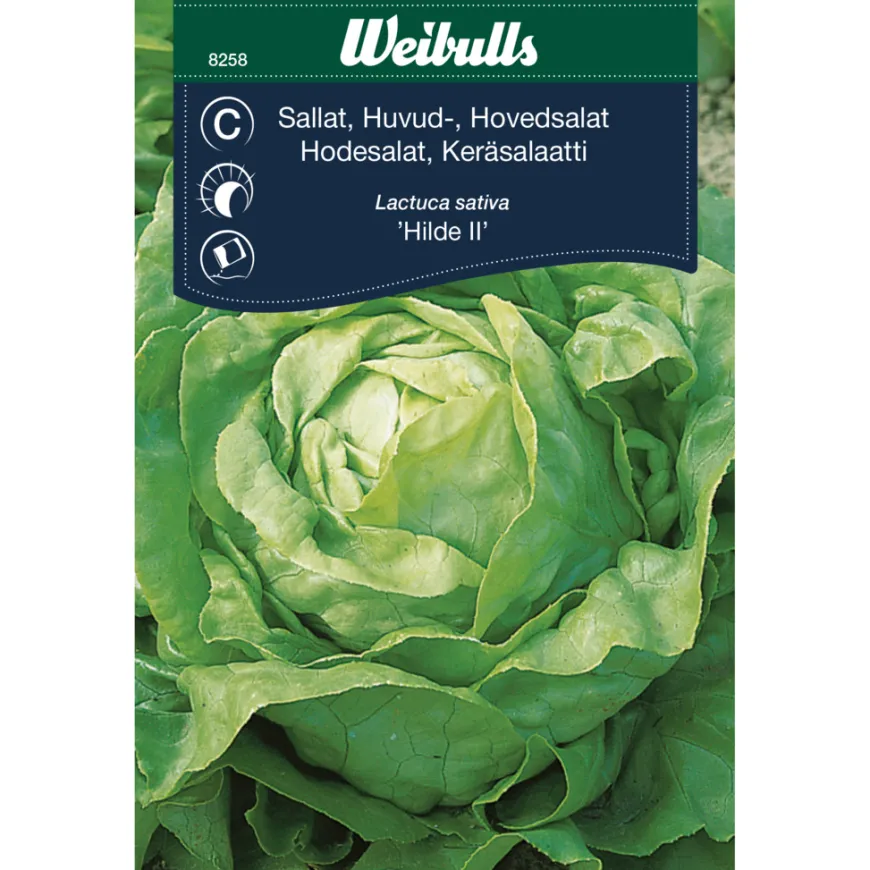 Hodesalat 'Hilde II'