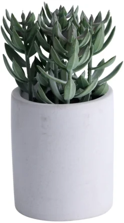 Kunstig plante tetragona H19 cm