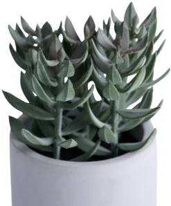 Kunstig plante tetragona H19 cm