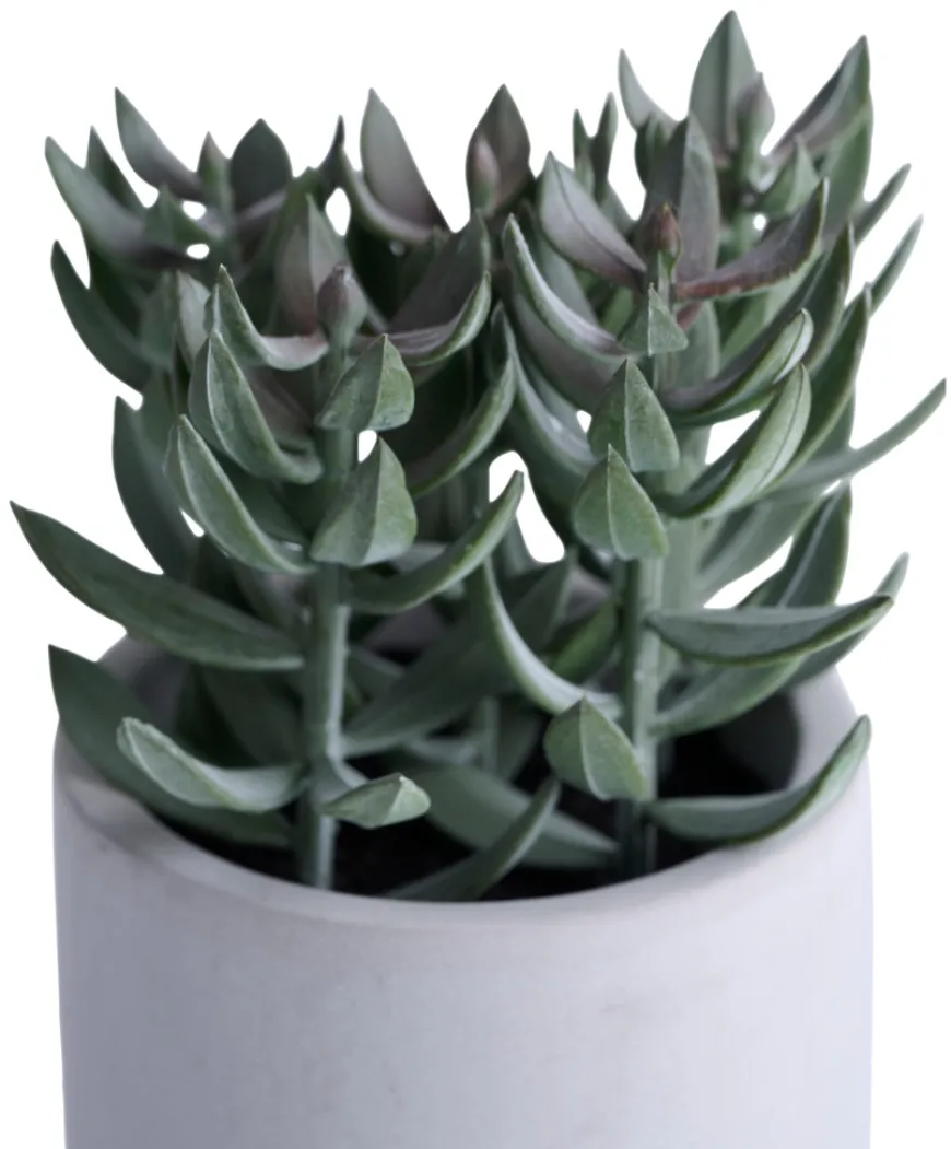 Kunstig plante tetragona H19 cm