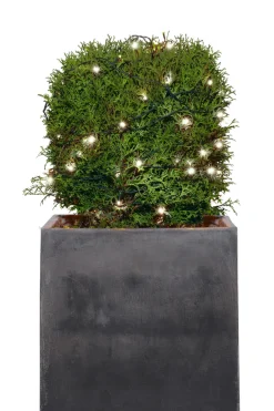 Lysslynge med 50 LED-pærer 4,9 meter