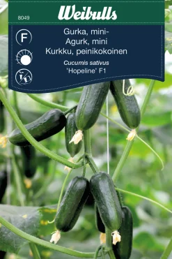 Miniagurk, 'Hopeline F1'