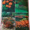 Plantejord 40 liter
