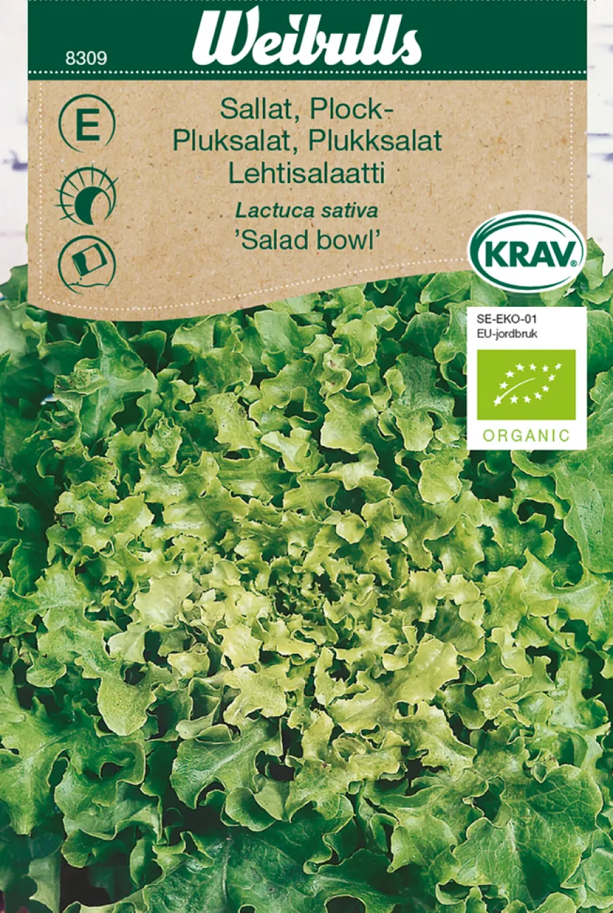 Plukksalat økologisk - Salad Bowl