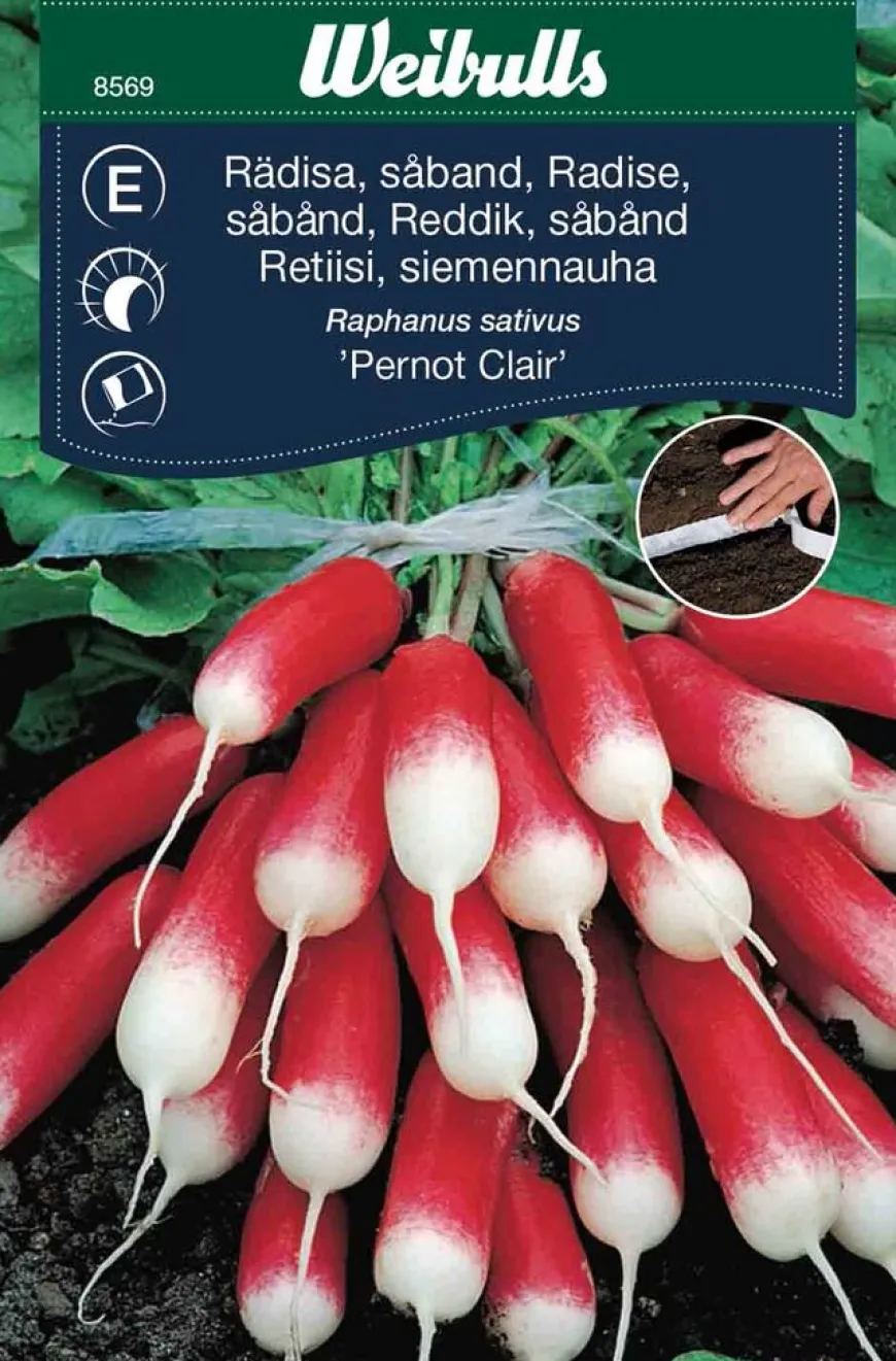 Reddik (lang såbånd) - Pernot Claire