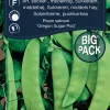 Sukkerert høy 'Oregon Sugar Pod'