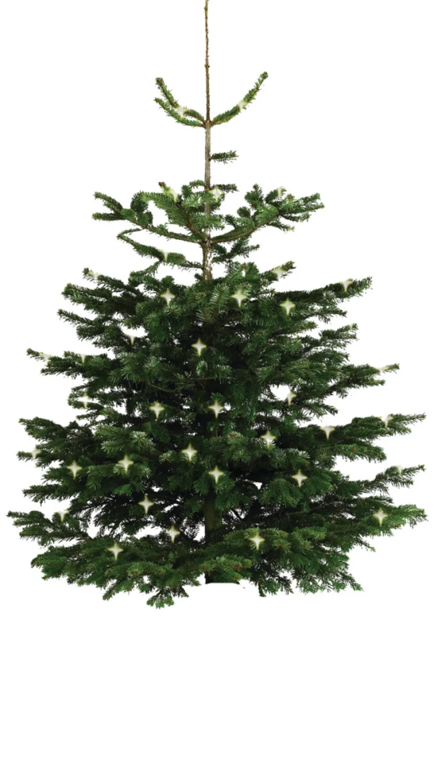 Whiskytønne Ø64 cm